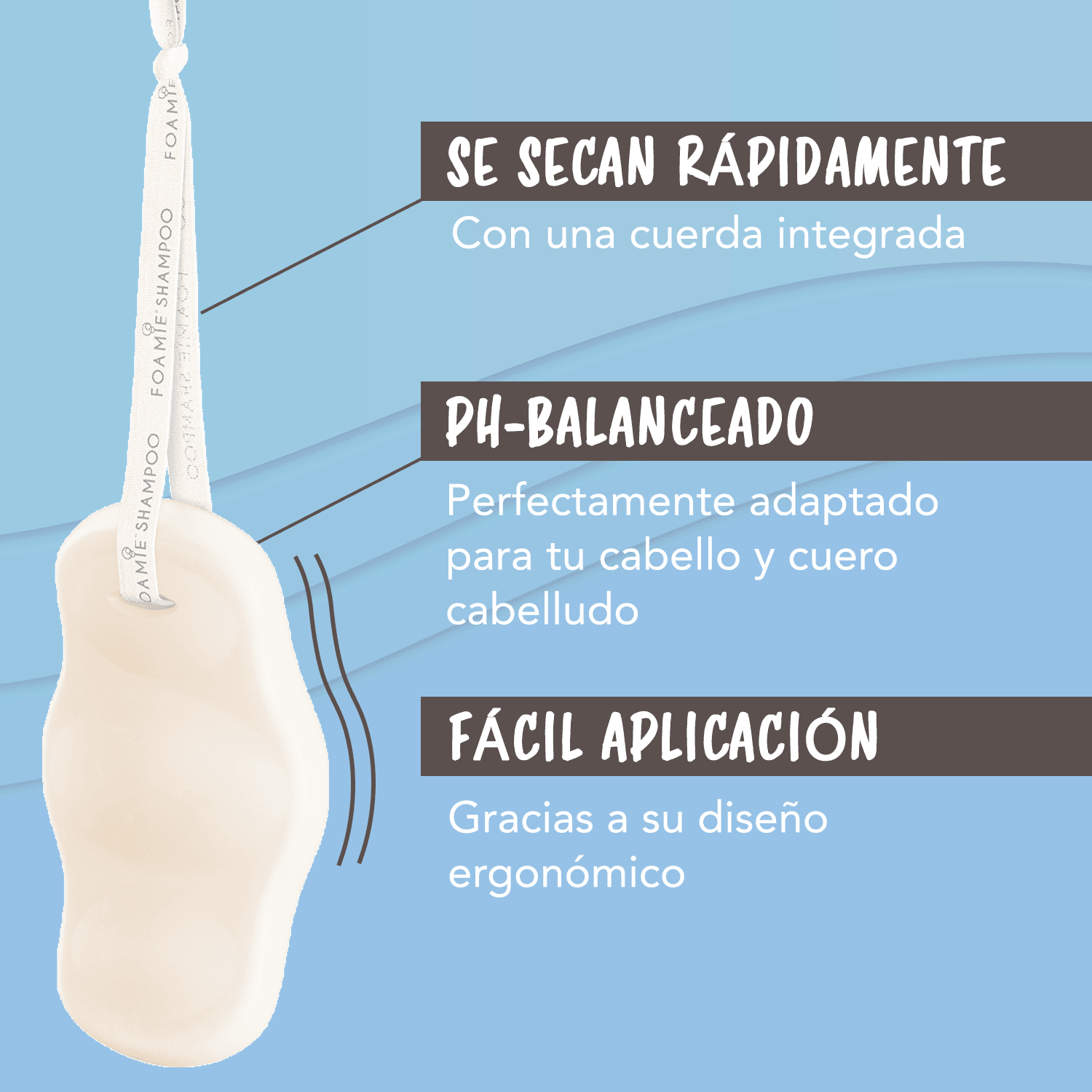 Shampoo de Coco y Jabonera sustentable