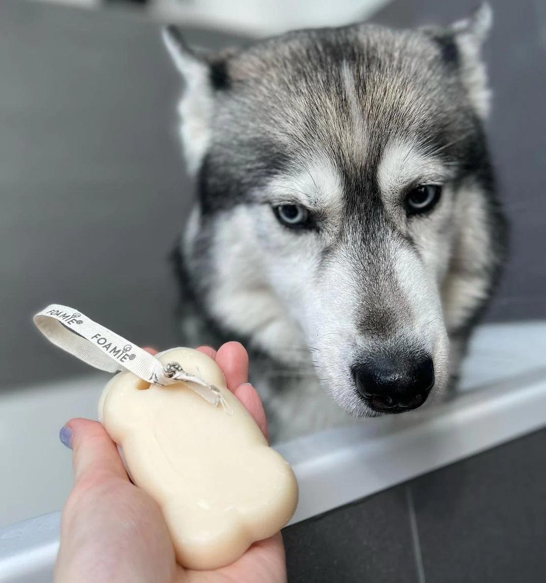 Shampoo sólido para Perros I Pelo Corto - Foamie