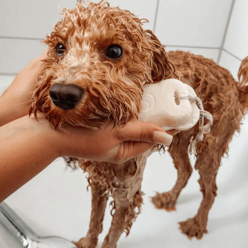 Shampoo sólido para Perros I Pelo Largo - Foamie