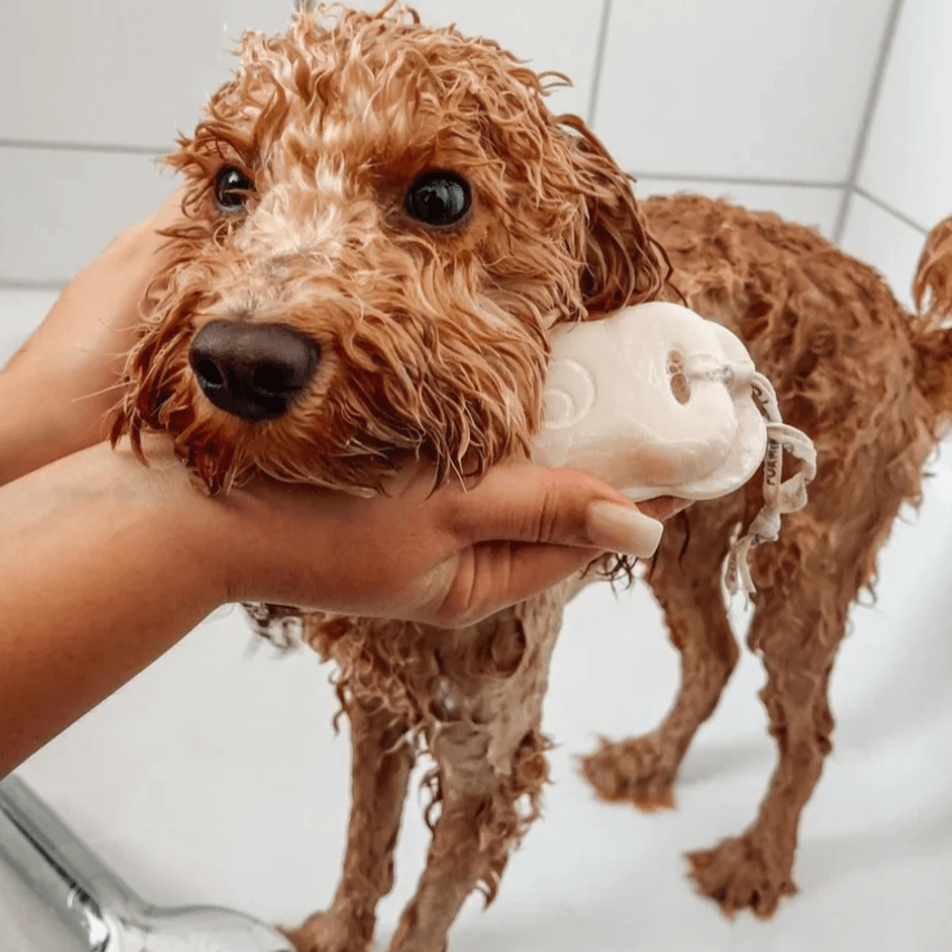 Shampoo sólido para Perros I Pelo Largo